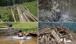 Siturile "Natura 2000" din Iasi, in atentia autoritatilor. Vezi programul din aceste luni