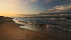 ocean
