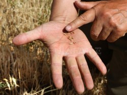 Guvernatorul statului California avertizeaza: Schimbarea climatica nu este o farsa