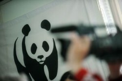 wwf