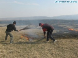 Agricultorii care incendiaza miristile, fara acordul APM, risca sa primeasca amenzi drastice