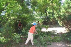 Parcul Dendrologic din Simeria va fi curatat de voluntari