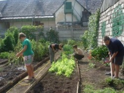 Sprijin financiar pentru agricultura ecologica din 1 septembrie