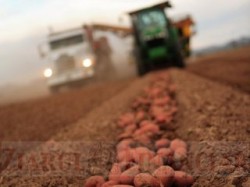 Preturile terenurilor agricole din Bulgaria s-au triplat in ultimii 10 ani