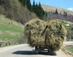 agroturism