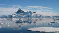 Cercetatorii au descoperit aproape 4.000 de specii de microbi in apele Antarcticii