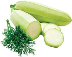 dovlecel