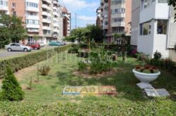 Oaze intre blocuri: A fost ales cel mai frumos spatiu verde de la asociatii