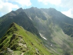 fagaras