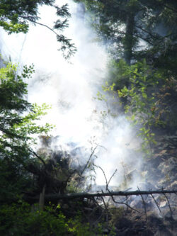 incendiu-padure-baia-borsa-11