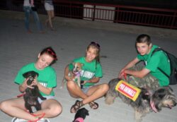 Campania „Fii mai bun, adopta un catel fara stapan” la Targu-Jiu