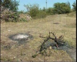 Rezervatia naturala Repedea, groapa de gunoi a iesenilor