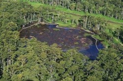 sinkhole