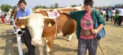 Miss Baltata Romaneasca 2012