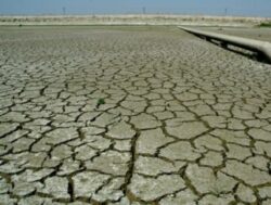 Suntem in pragul unei crize globale a alimentelor!