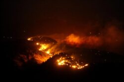 Peste 44 hectare de vegetatie uscata si jumatate de hectar de padure au ars intr-un incendiu la Vaslui