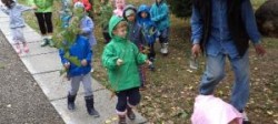 Lectie de respect fata de natura, pentru 20 de elevi