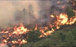 10 hectare de padure ard de cateva zile in Mures. Un elicopter va incerca astazi sa stinga focul