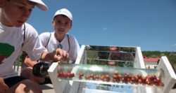 Seminar regional pentru locuri de munca verzi