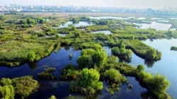 Delta Vacaresti a primit avizul Comisiei de Monumente a Academiei Romane