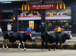 Indienii protesteaza impotriva deschiderii McDonald’s in locurile lor sfinte