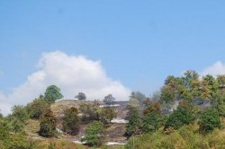 Doua hectare de vegetatie uscata, mistuite de flacari