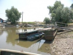depoluari
