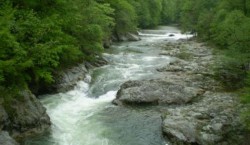 Masuri pentru conservarea Parcului Domogled - Valea Cernei