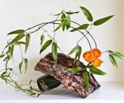 ikebana