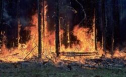 Incendiile de padure vor fi bombardate