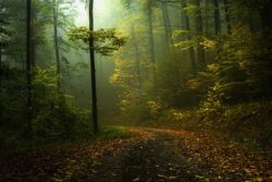 Expozitie de fotografie despre natura la Constanta