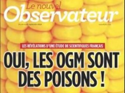 Rezultatele unui studiu al cercetatorilor francezi: Organismele modificate genetic sunt nocive
