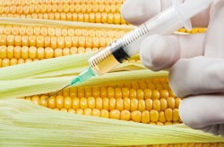 Intreaga omenire sufera de un “cancer”: lacomia corporatiilor