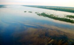 Sanctiuni de 75.000 lei pentru poluarea Dunarii cu grasimi, in apropiere de Liceul de Marina din Galati