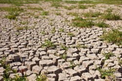 Global warming concept of cracked ground