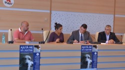Vier Pfoten reia campania de sterilizare a animalelor fara stapan din Sectorul 6