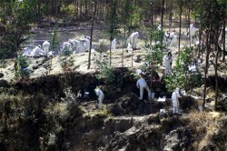 Peruanii acuza neglijenta autoritatilor dupa o deversare de substante toxice la o mina de cupru