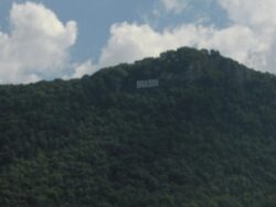 Din cauza secetei din aceasta vara, peste o mie de arbori de pe Tampa