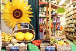 S-au stabilit ajutoarele in euro pentru agricultura ecologica