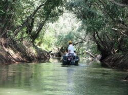 Delta Dunarii ar putea deveni un paradis turistic