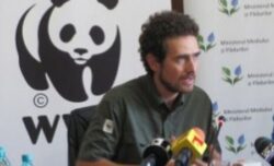 WWF Romania: Trebuie facut un recensamant al populatiei de ursi si identificate habitatele acestor animale