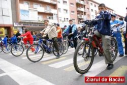 ziarul de bacau
