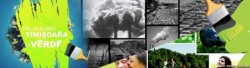 Sa pictam Timisoara in verde
