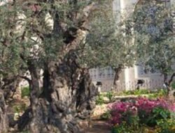220px-gethsemane