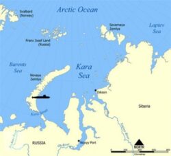 arctic