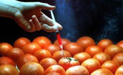 Boala care vine din MÂNCARE. "Simteam cum imi umbla ceva pe sub piele". Organismele modificate genetic, responsabile