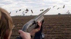 Alti 10 vanatori italieni sunt cercetati pentru braconaj in Romania