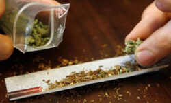 Cannabisul divizeaza societatea franceza
