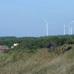 Poveste de succes: cel mai mare dezvoltator din parcuri eoliene