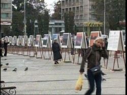 expozitie poze cu delta